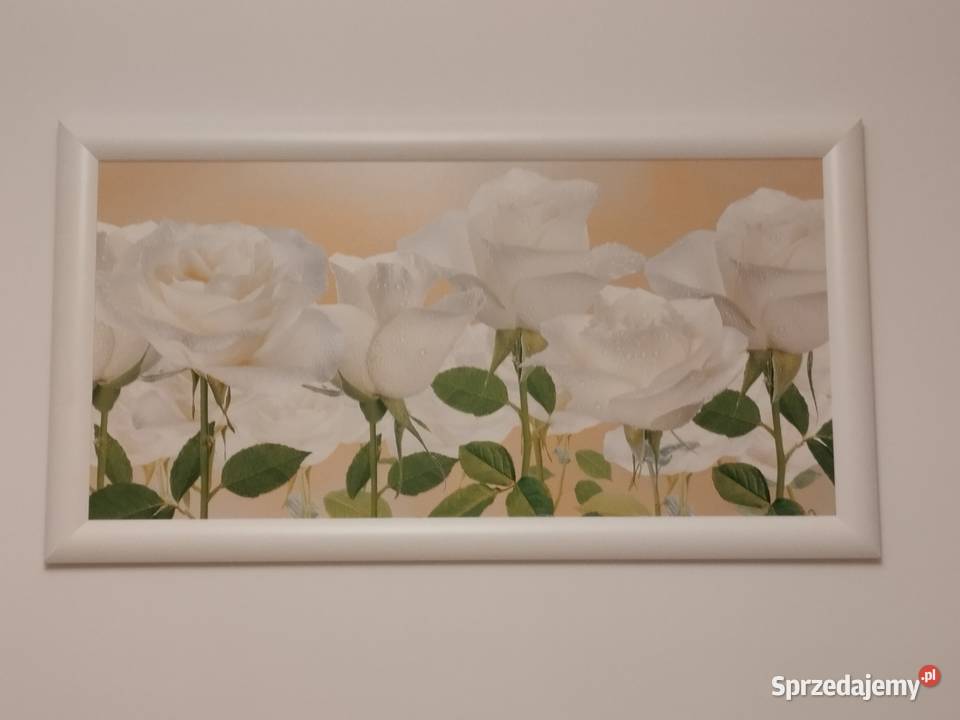 Obraz białe róże w ramie 60x110 Warszawa