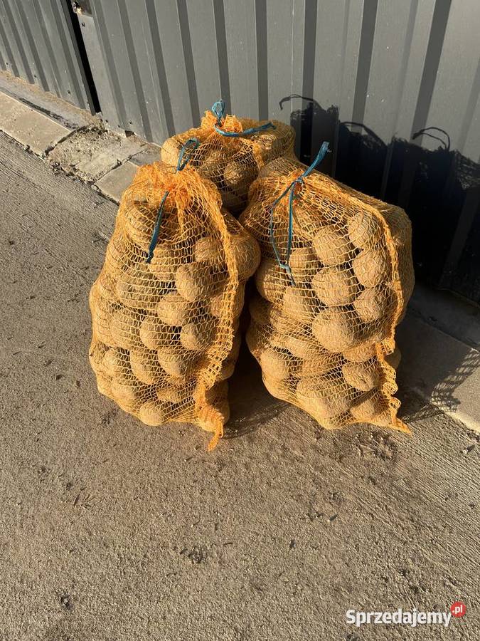 ziemniaki jadalne Wineta Wrocław sprzedam