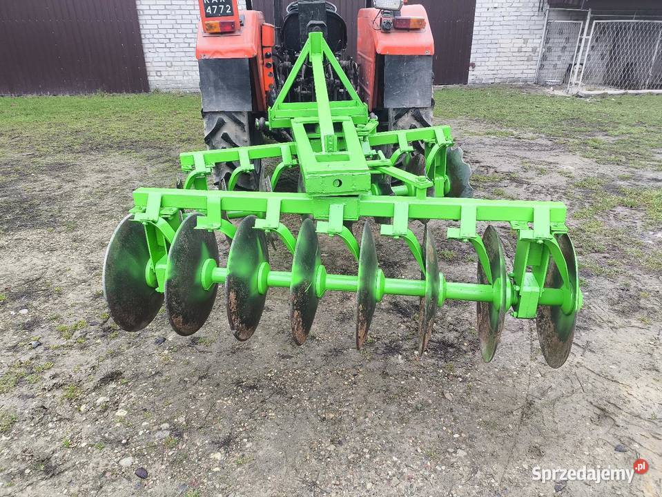 Talerzowka mazowieckie Chechły