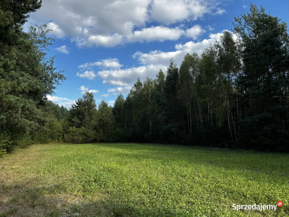 UROKLIWE MIEJSCE NATURY podkarpackie Rydzów