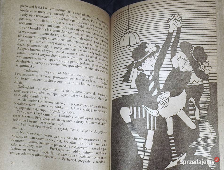 Kłamczucha Małgorzata Musierowicz