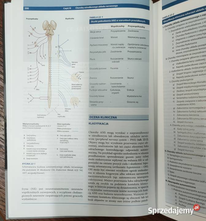 Neurologia w medycynie klinicznej Harrison medycyna, nauki medyczne śląskie Sosnowiec