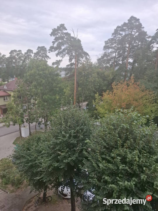 Mieszkanie do remontu Augustów woj podlaskie podlaskie