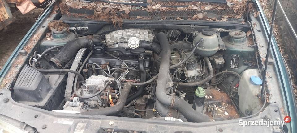 Golf 3gti 19 tdi bbs Włodawa