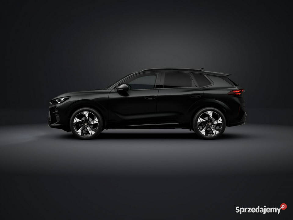 Cupra Terramar Advantage Edition 15 eTSI 150 DSG wspomaganie kierownicy