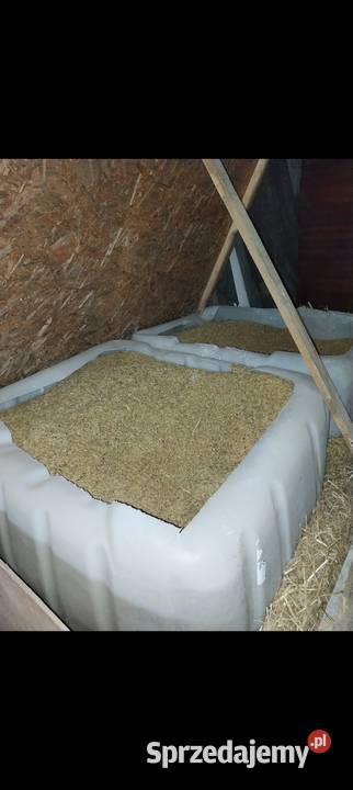 Pojemnik na zboże sąsiek 1000l Nowy Sącz