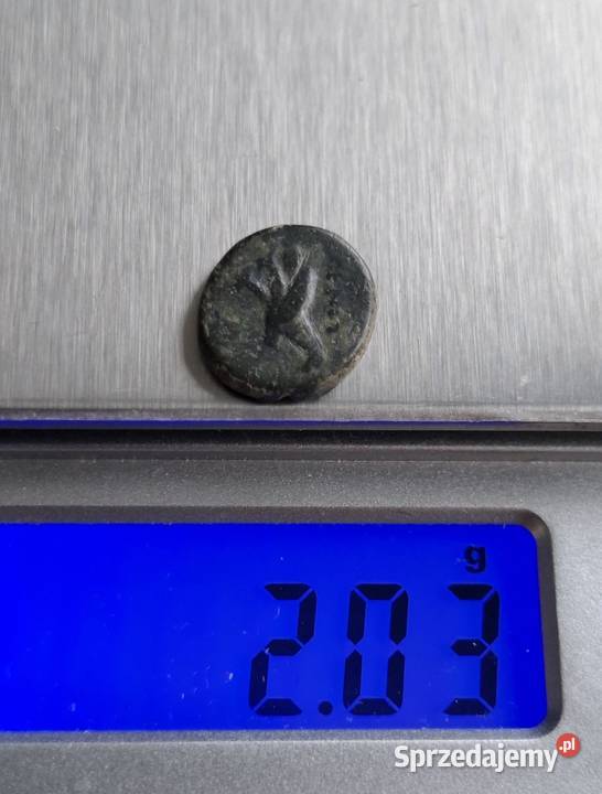 Moneta antyczna Grecja Aeolis Kyme 350250 BC Numizmatyka Wejherowo