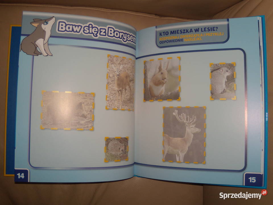 Wilk Borys Świat dzikich maluchów Warszawa