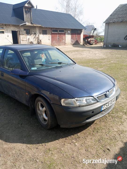 Opel Vectra nieuszkodzony Wyspa