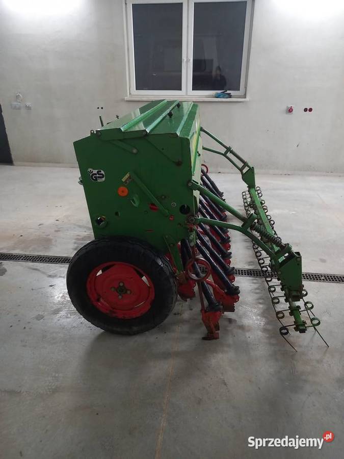 Siewnik hassia dk podkarpackie Pilzno