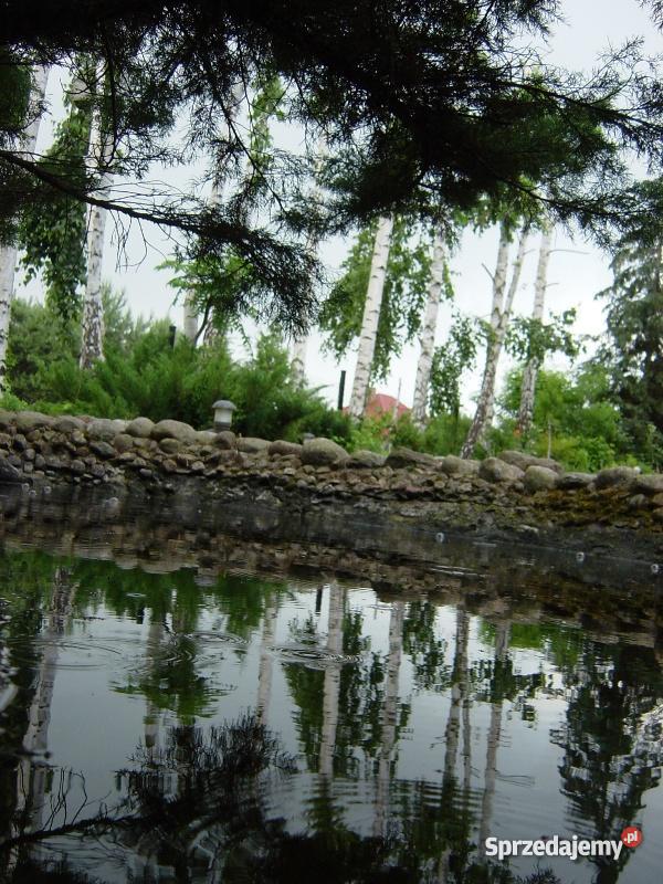 działkę rekreacyjną jeziorem zdworskim szambo Matyldów