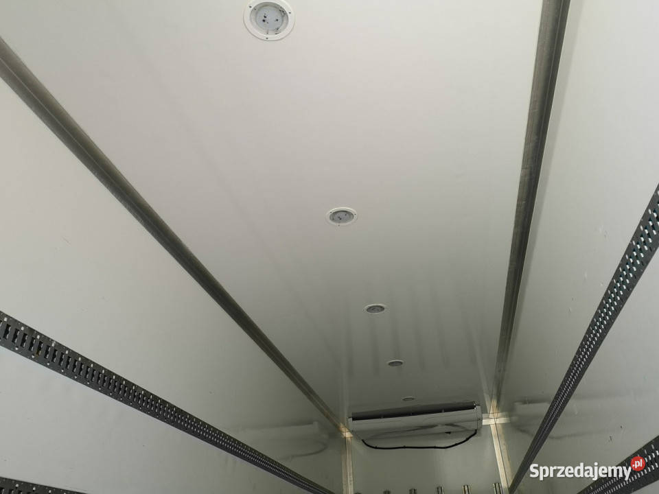 Scania P280 Chłodnia 22 Palety 2023 Produkcji świętokrzyskie Daleszyce