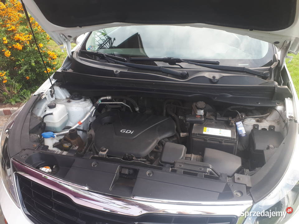 Kia Sportage 16 benzyna Biala perła komplet opon Połupin