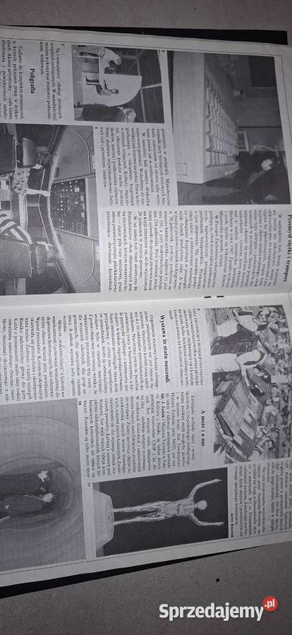 ATEST 31994 Legenda BHP Disneyland Ochrony Pracy Łęczyca