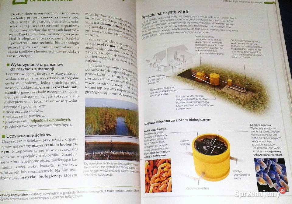 Biologia na czasie Emilia Bonar S Czachorowski Chełm