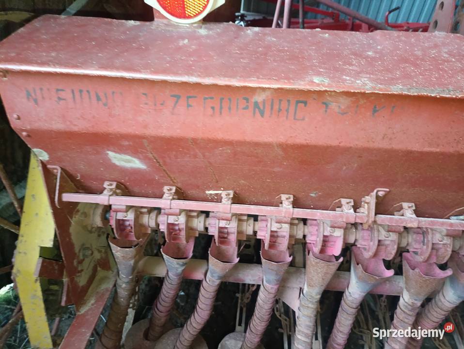 Siewnik nieuszkodzony świętokrzyskie Bodzentyn