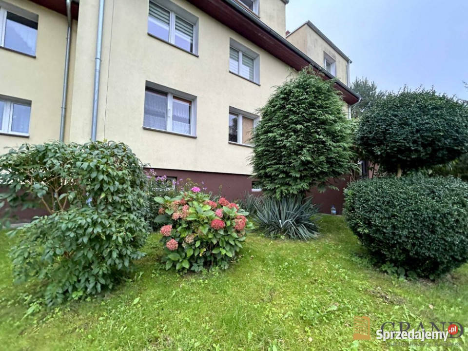 Mieszkanie Dobra Traugutta 781 metrów 4pok 78.1m2 Sprzedaż sprzedam