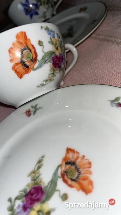 Filiżanka z talerzykiem Rosenthal Bavaria Syg pomorskie