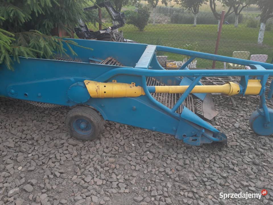 Kopaczka elewatorowa Kopaczki Niedomice