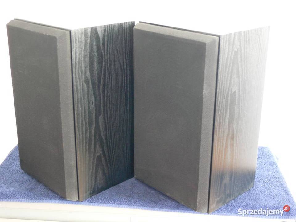 Świetne kolumny audio Goldstar Tesla WYSYŁKA