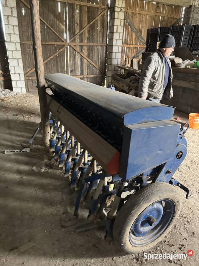 Siewnik Poznaniak Fiona nieuszkodzony Lipce Reymontowskie