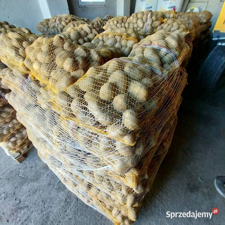 Sprzedam Ziemniaki świętokrzyskie Uściszowice