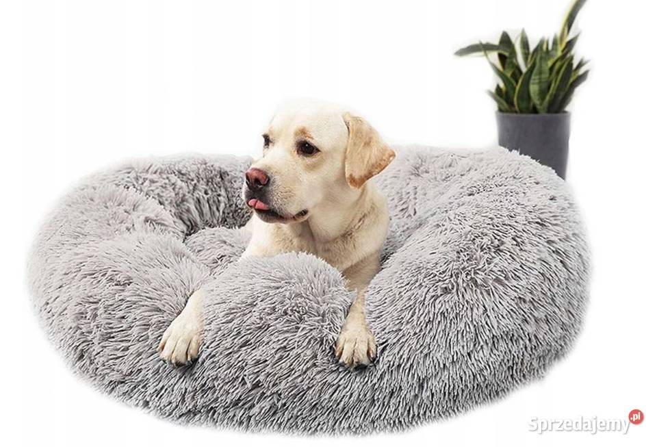 LEGOWISKO PSA KOTA PLUSZOWE PODUSZKA KOJEC Dla psów mazowieckie Warszawa