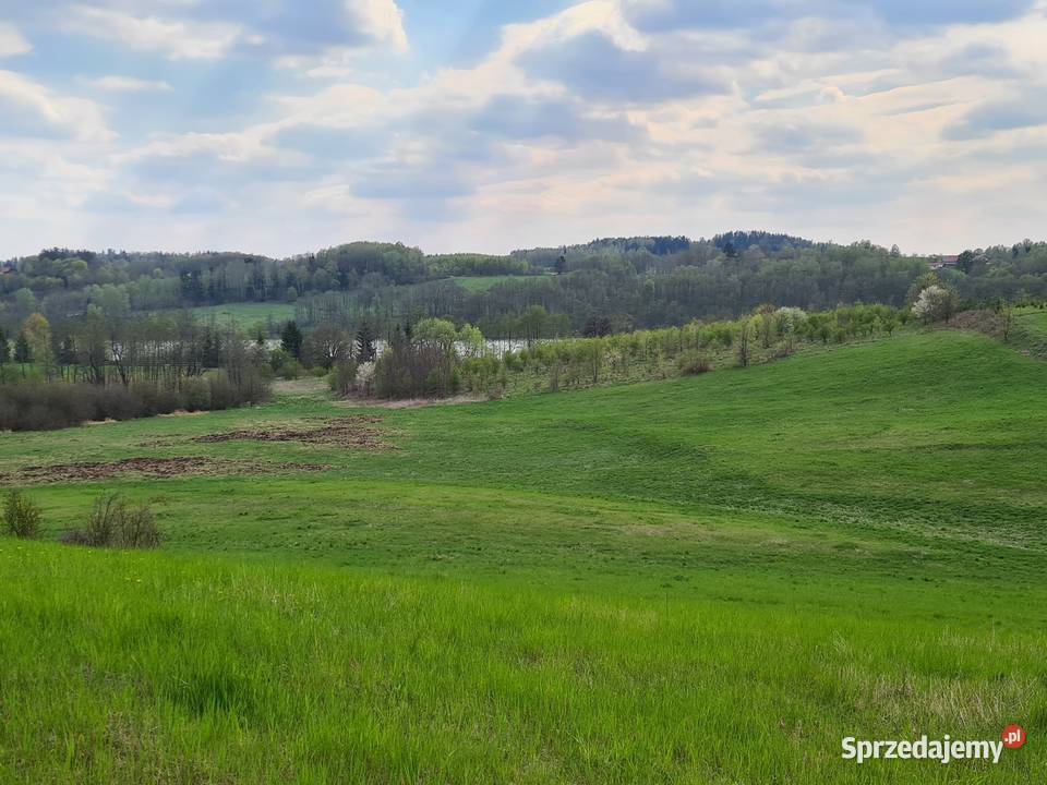Duża działka pod dom pensjonat hotel Kiersztanowo