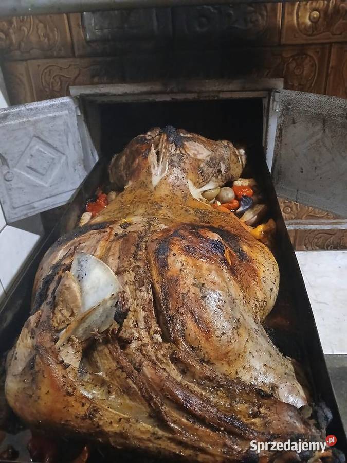 Pieczona jagnięcina Mięso surowe Pagorzyna sprzedam