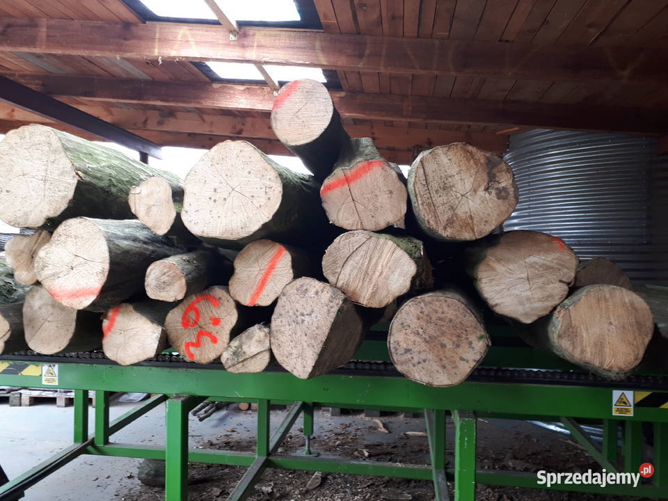 Drewno kominkowe Mosina