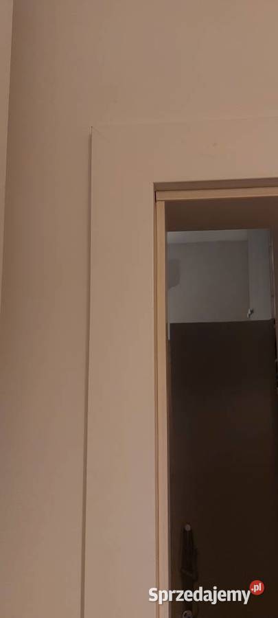 Oscieznica biała prawa DRE przylgowa Wrocław sprzedam