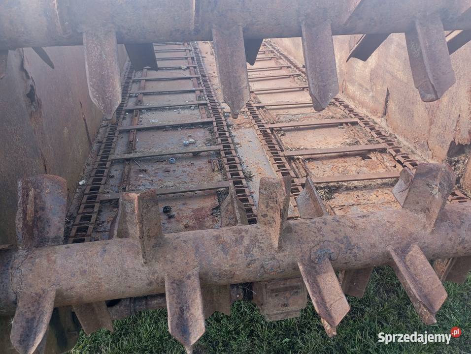 Rozrzutnik obornika Buk