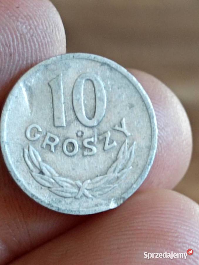 Sprzedam monete 10 groszy 1963 r nbc Chełm sprzedam