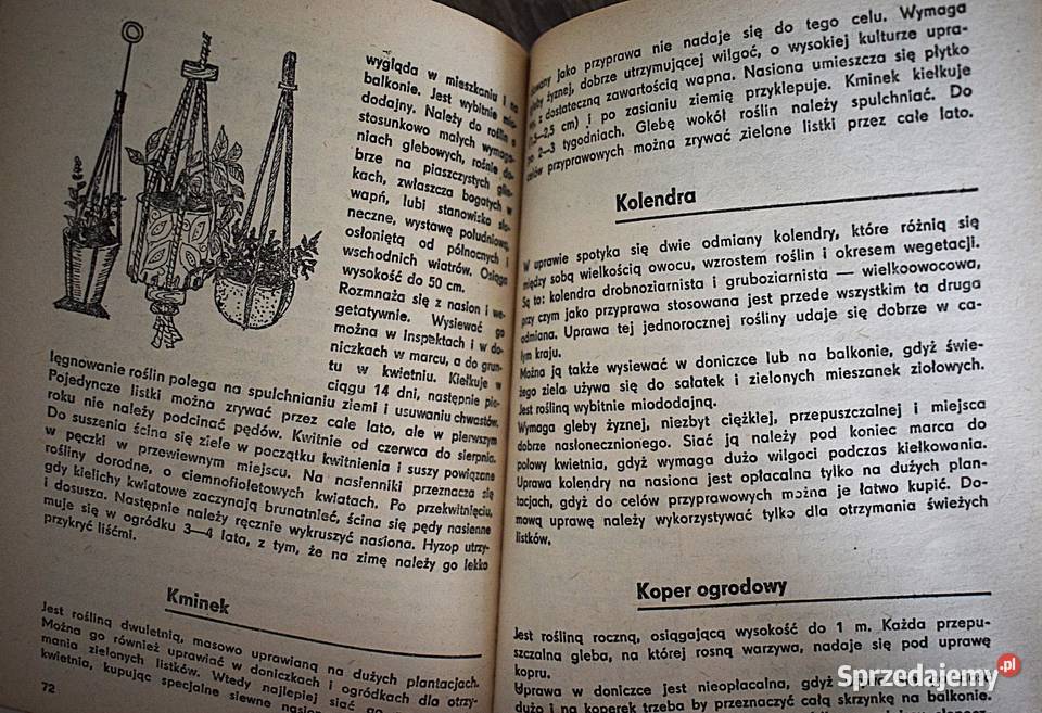 Zioła i przyprawy mojej kuchni Markuza Bieniecka kuchnia, potrawy kujawsko-pomorskie Chełmno
