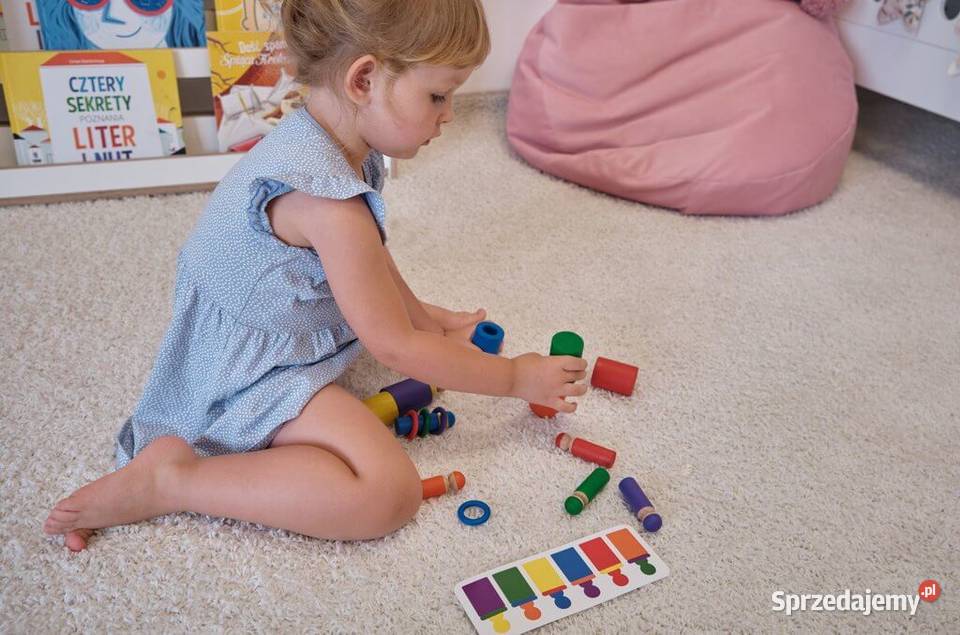 Sorter kolorów ludziki układanka lewopółkulowa Zduńska Wola