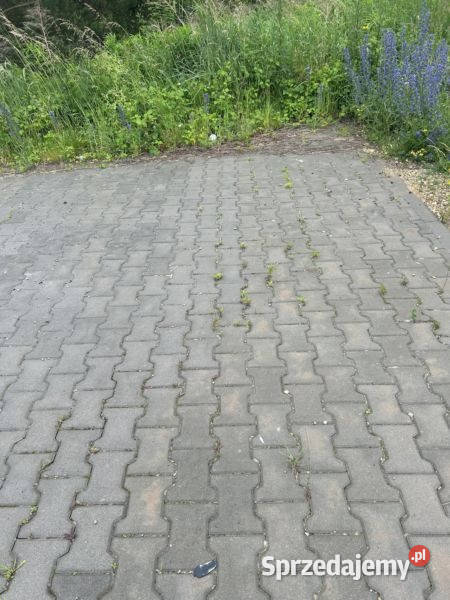 Sprzedam Zdów
