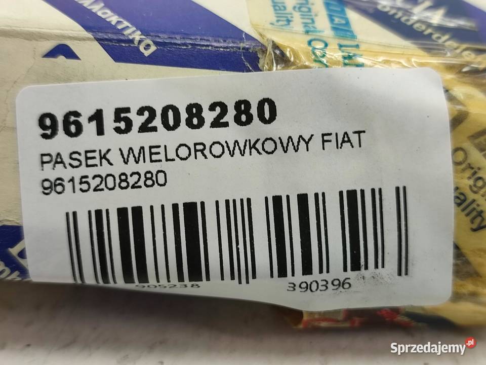 PASEK WIELOROWKOWY FIAT ULYSSE 20 19942002 NOWY sprzedam