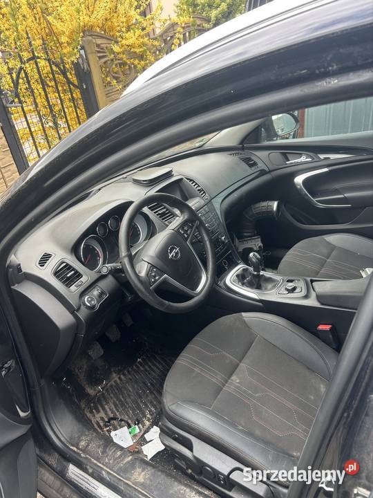 Cała na części Opel Insignia Suchary
