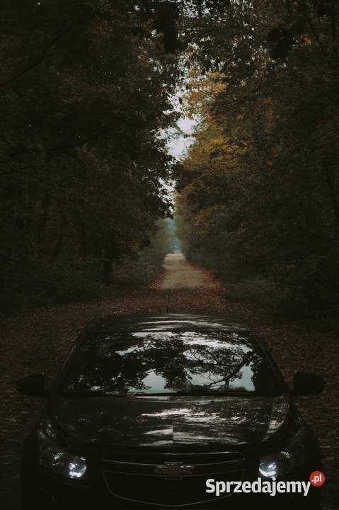 Chevrolet Cruze Cruze Gniezno