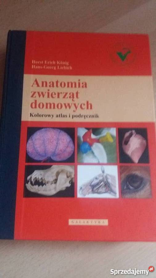 Okazja ceAnatomia zwierząt domowych Konig i Pozostałe Pszczyna