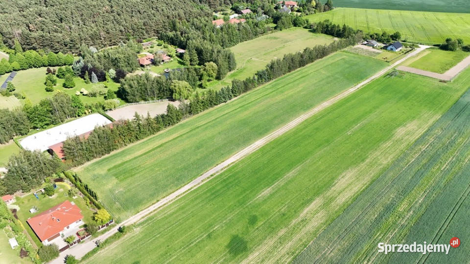 Kicin kPoznania3007 m idealna pod dom 212zł/m2 sprzedam