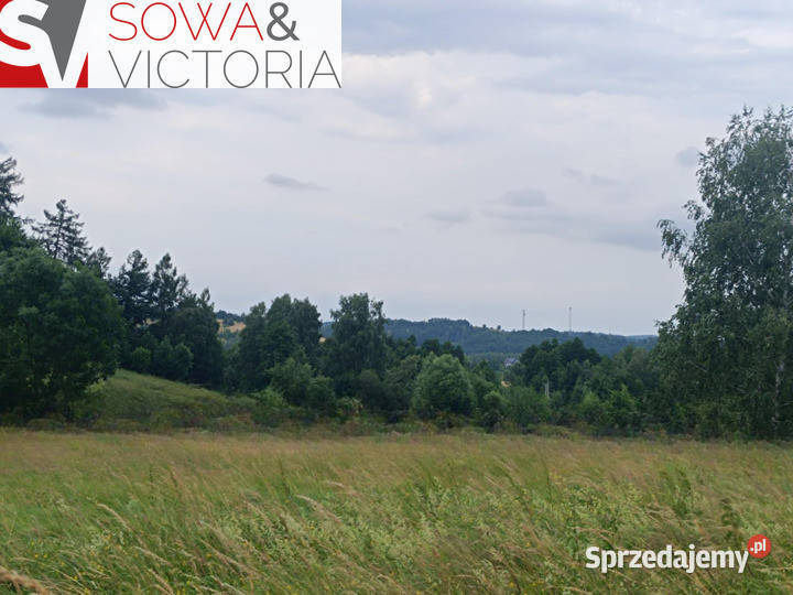 Działka lesie w sąsiedztwie zalewu utwardzona