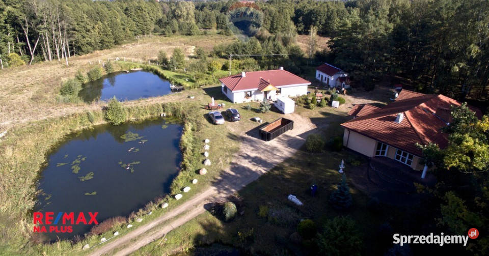 Nieruchomość inwestycyjna 375 ha szambo Sprzedaż kujawsko-pomorskie Bydgoszcz