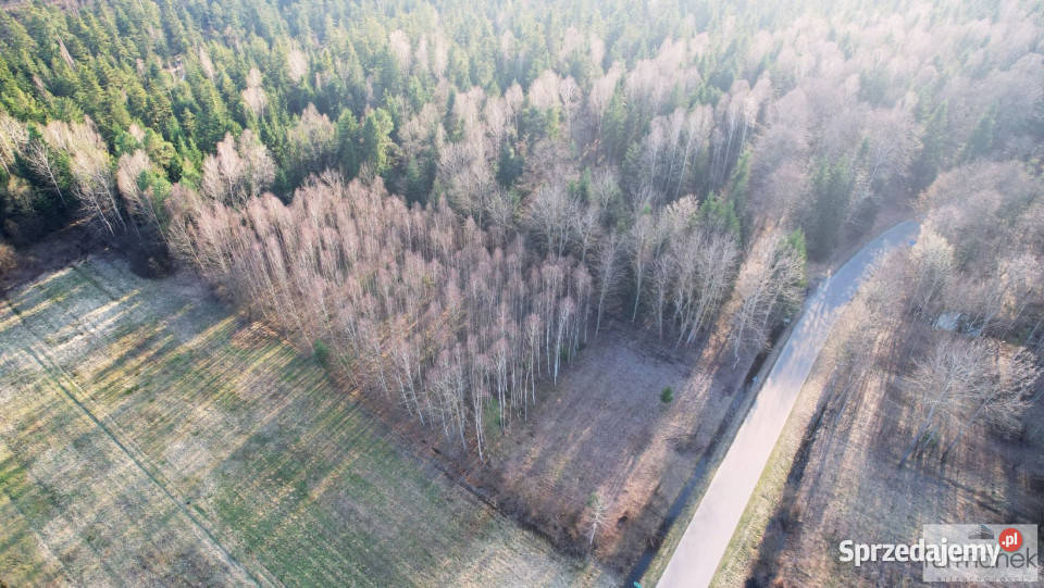 Sprzedam grunt 30288 metrów Ciosmy lubelskie sprzedam