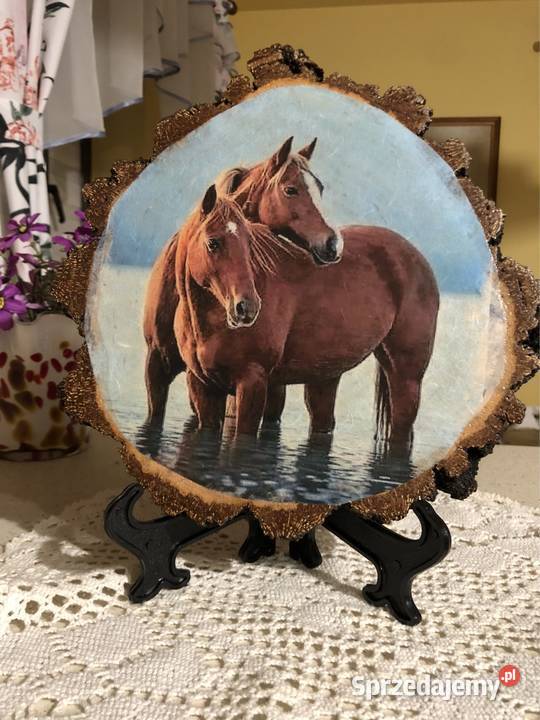 Obrazki motywy konie podkarpackie Strzyżów