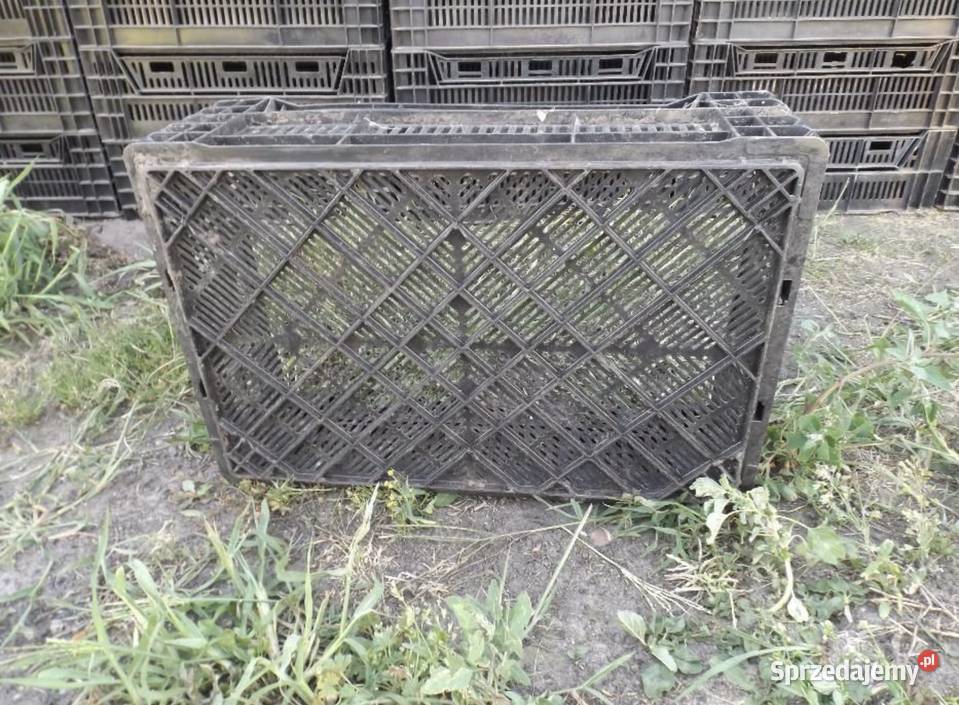 Skrzynka ogrodnicza Siedlce