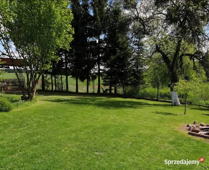 Sprzątanie posesji ogródków działkowych ROD Olsztyn