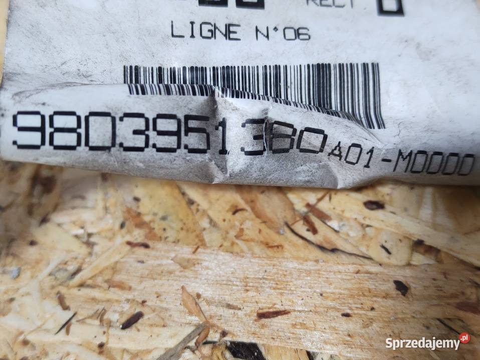 Wiązka Instalacja Drzwi Lewy Przód CElysee 1217 Pleszew