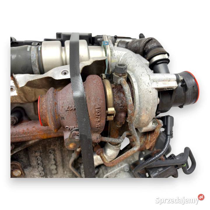 SILNIK TZJB Ford Fiesta VI VII MK7 16 TDCI 95 Chełm