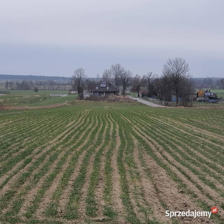 Działka budowlanorolna uzbrojona budowlana Dworszowice Pakoszowe